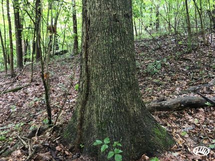 Land in Tuscarawas County, Ohio