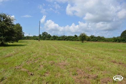 Land in Tangipahoa Parish, Louisiana