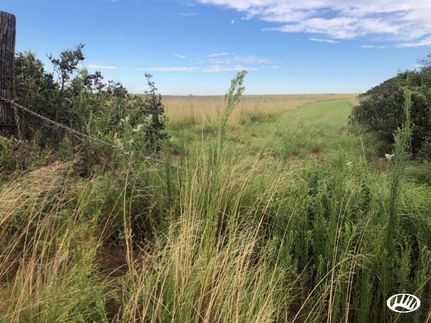 Recreational Property in Roger Mills County, Oklahoma