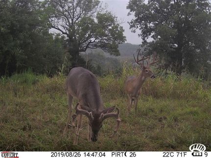 Farm and Ranch in Clark County, Kentucky