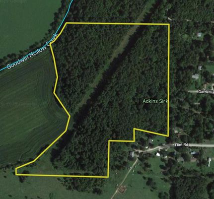 Timberland Property in Laclede County, Missouri