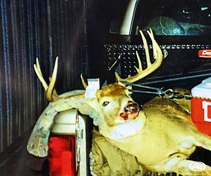 Hunting Property in Williamson County, Illinois