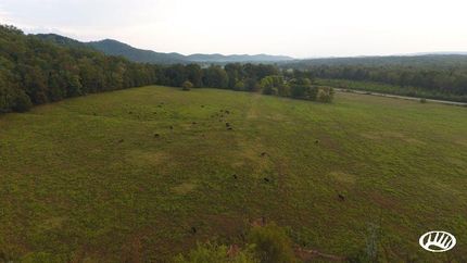 Timberland Property in Cherokee County, Alabama