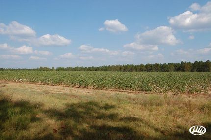 Land in Tattnall County, Georgia
