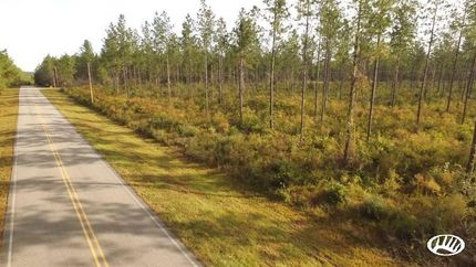 Farm and Ranch in Baldwin County, Alabama