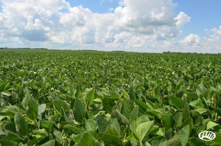 Hunting Property in Holt County, Nebraska