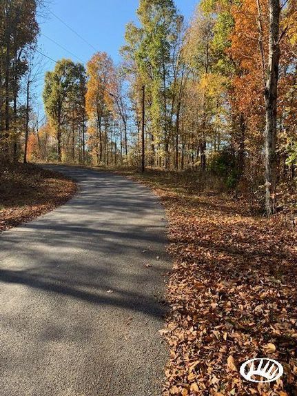 Timberland Property in Clay County, Tennessee