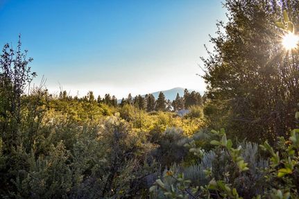 Timberland Property in Klamath County, Oregon