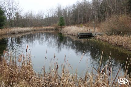 Land in Tioga County, Pennsylvania