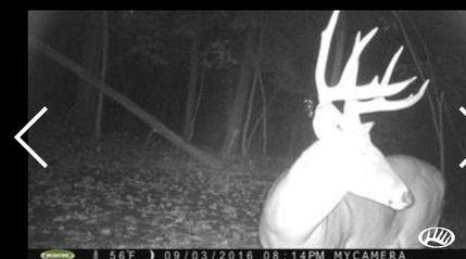 Land in Fayette County, Iowa