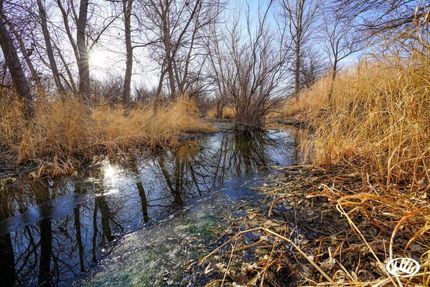 Land in Edwards County, Kansas
