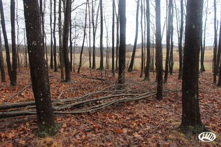 Hunting Property in Indiana County, Pennsylvania
