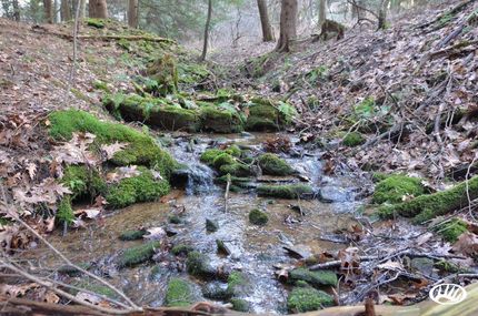 Undeveloped Land in Clarion County, Pennsylvania