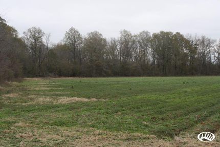 Recreational Property in Franklin Parish, Louisiana