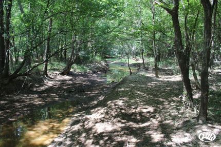 Farm and Ranch in Johnston County, North Carolina