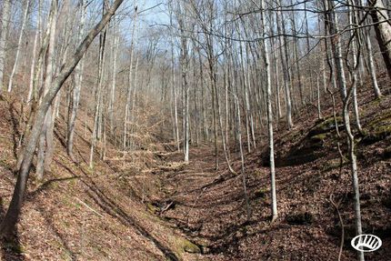 Land in Owsley County, Kentucky