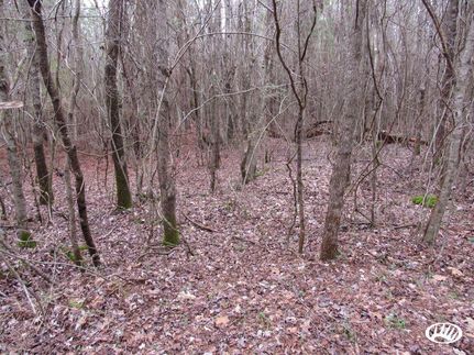 Land in Claiborne Parish, Louisiana