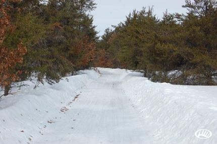 Undeveloped Land in Crawford County, Michigan