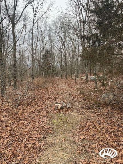 Land in Saint Francois County, Missouri
