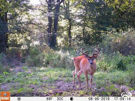 Land in Linn County, Missouri