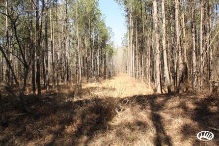 Farm and Ranch in Jefferson County, Arkansas