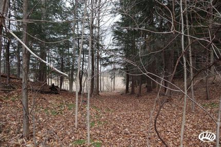 Waterfront Property in Chautauqua County, New York