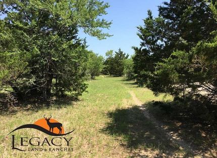 Undeveloped Land in Limestone County, Texas