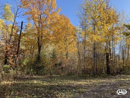 Timberland Property in Pine County, Minnesota