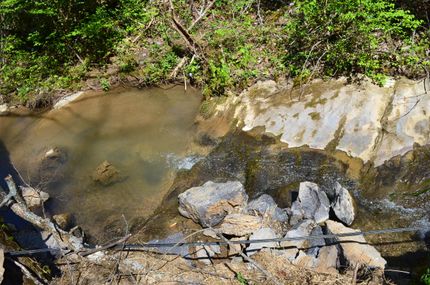 Timberland Property in Grainger County, Tennessee