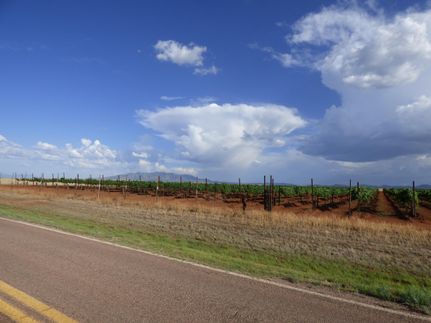 Farm and Ranch in Santa Cruz County, Arizona