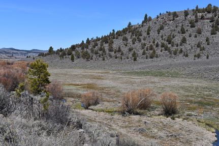 Hunting Property in Harney County, Oregon