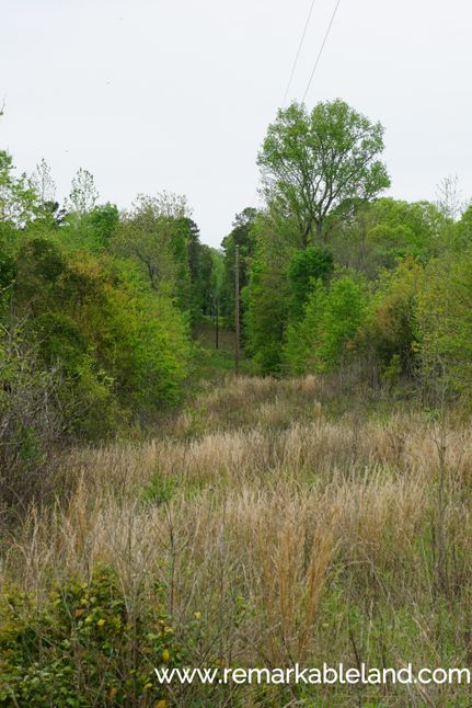 Farm and Ranch in Marion County, Texas