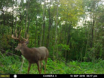 Land in Vernon County, Wisconsin