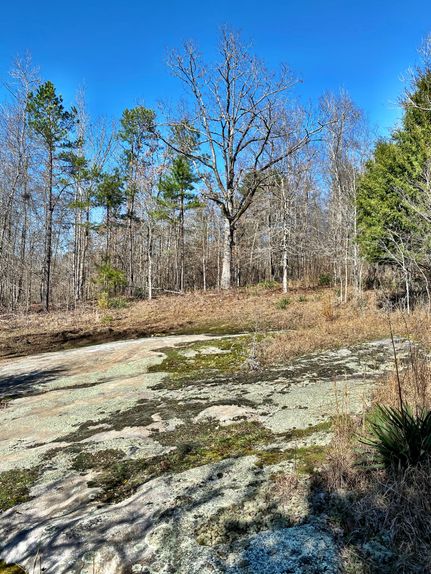 Land in Monroe County, Georgia