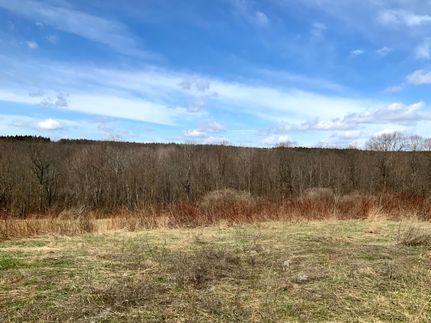 Commercial Property in Chenango County, New York