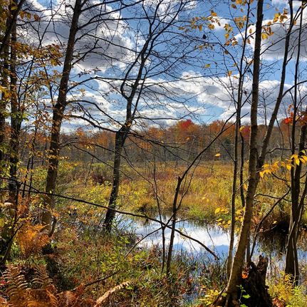 Commercial Property in Oswego County, New York