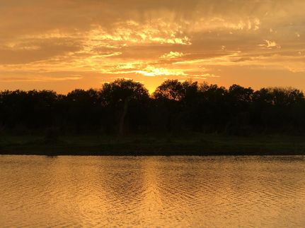Land in Live Oak County, Texas
