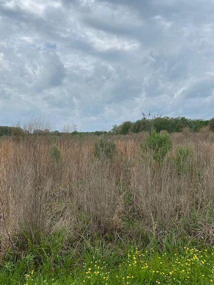 Recreational Property in Richland Parish, Louisiana