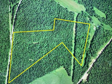 Farm and Ranch in Christian County, Kentucky