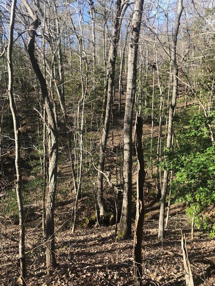 Recreational Property in Richmond County, North Carolina