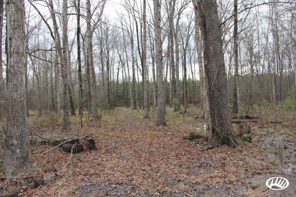 Hunting Property in Franklin County, Mississippi