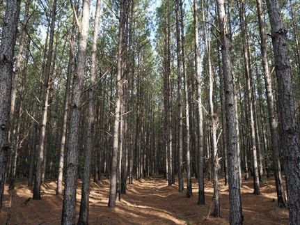 Land in Butts County, Georgia