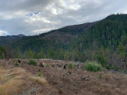 Undeveloped Land in Josephine County, Oregon