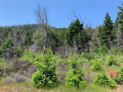 Land in Josephine County, Oregon