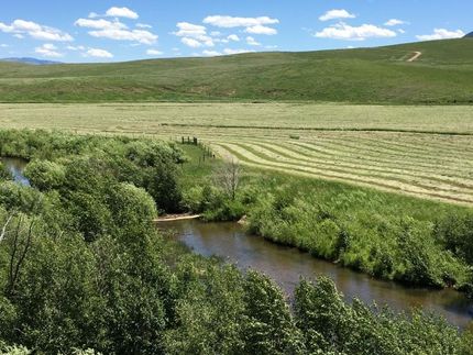 Hunting Property in Routt County, Colorado