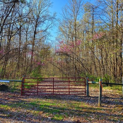 Timberland Property in Putnam County, Indiana