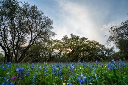 Recreational Property in Medina County, Texas
