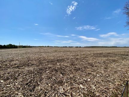 Undeveloped Land in Coles County, Illinois