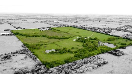 Timberland Property in Hill County, Texas