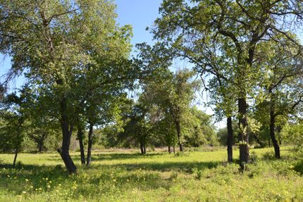 Land in Medina County, Texas